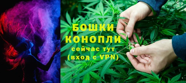 дурь Киреевск