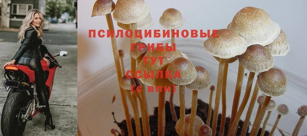 дурь Киреевск