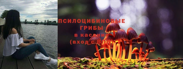 дурь Киреевск