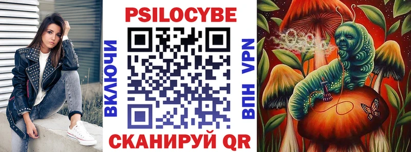 магазин продажи наркотиков  Нестеровская  мега tor  Галлюциногенные грибы Magic Shrooms 